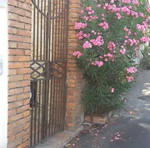 Sciala' Nyaraló *